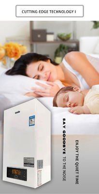 Aquecimento doméstico 20KW 24KW Mini caldeira combinada a gás com 2 trocadores de calor montados na parede