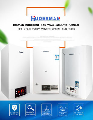 Caldeiras de gás montadas na parede de 20 kW 24 kW 28 kW 30 kW 32 kW com banheiro de proteção contra sobreaquecimento