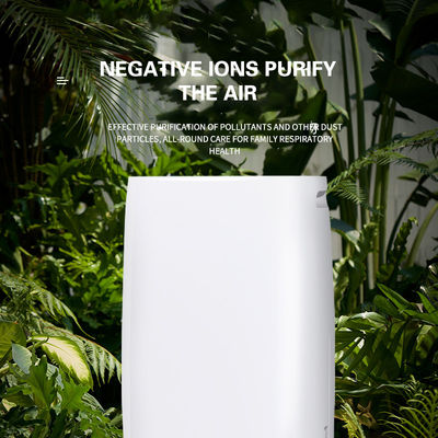 Mini desumidificadores Refrigerador de semicondutores Secador de humidade de ar silencioso portátil